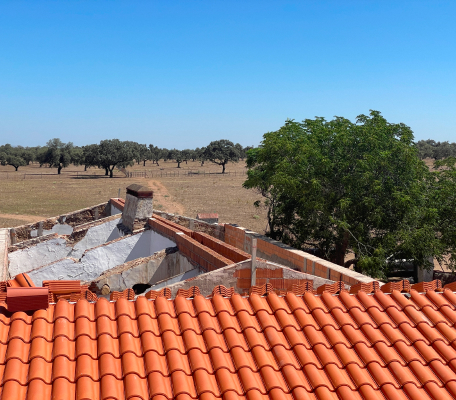 imagen 2024 07 16T112014.615