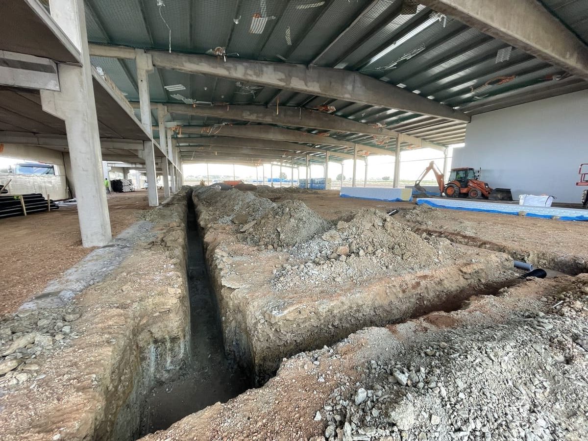 17a4dbba 3c07 491a b4d9 095be80b62cb 2 e1731517734293